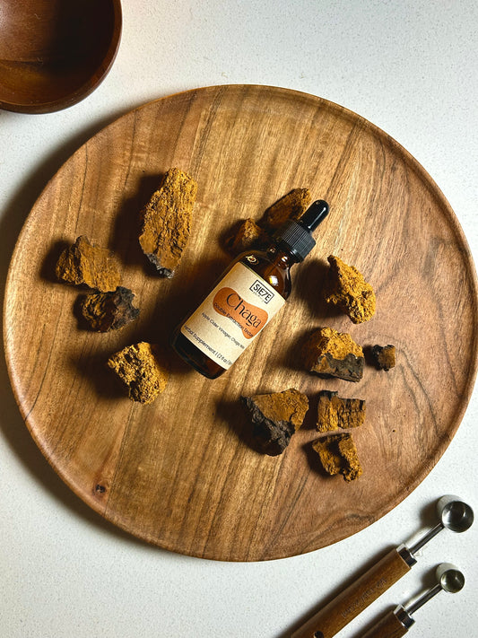 Chaga Tincture - Immunity, Inflammation, Blood Purifier, Lowers Blood Pressure | Cholesterol | Sugar